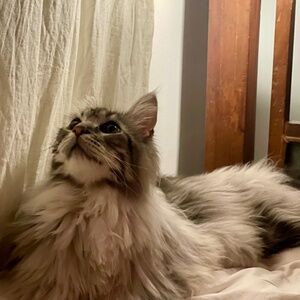 Meet your Posher, Olga